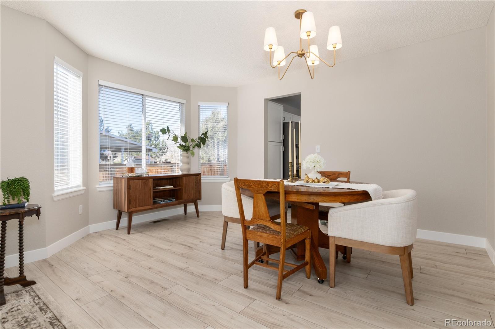 MLS Image #11 for 10075  silver maple road,highlands ranch, Colorado