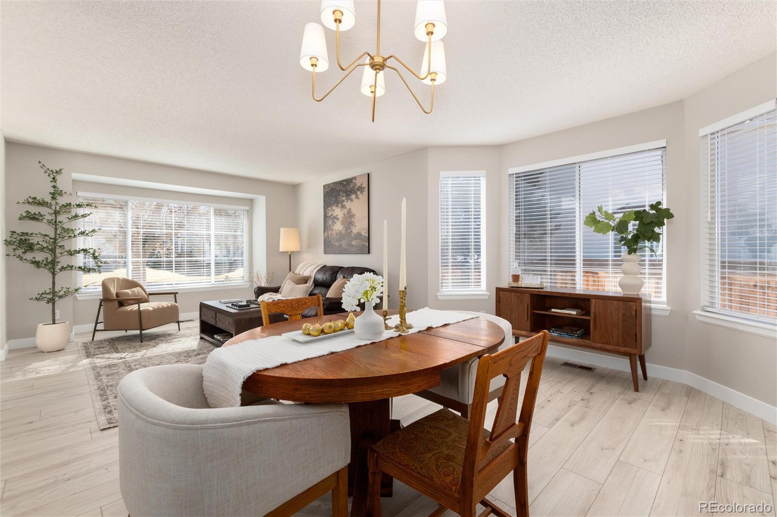 MLS Image #12 for 10075  silver maple road,highlands ranch, Colorado