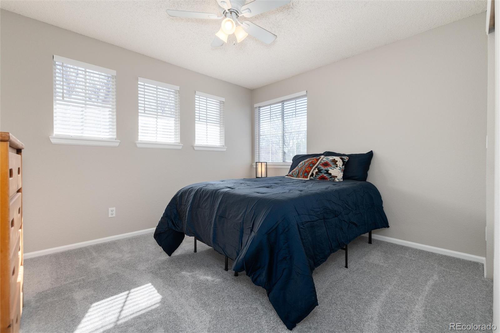 MLS Image #35 for 10075  silver maple road,highlands ranch, Colorado