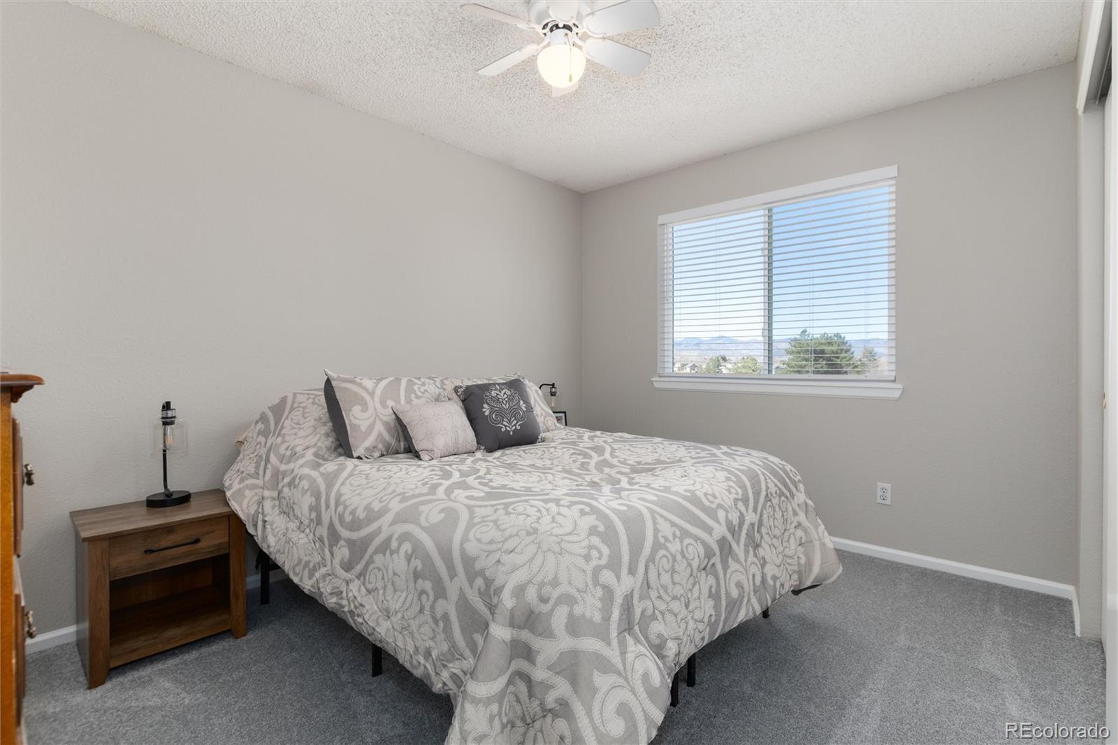 MLS Image #37 for 10075  silver maple road,highlands ranch, Colorado