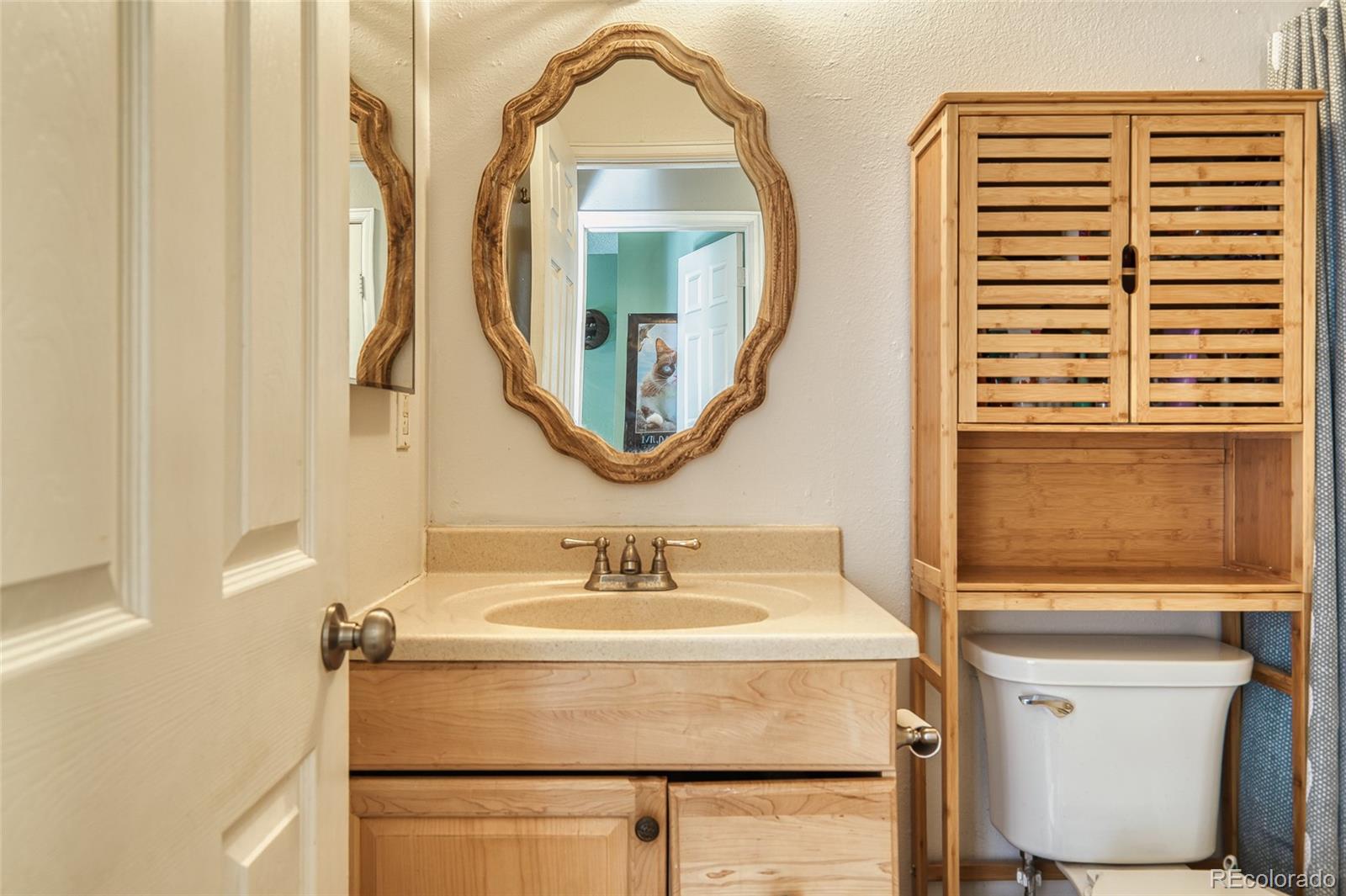 MLS Image #18 for 4106 s laredo way,aurora, Colorado