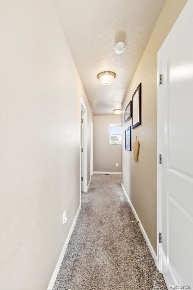 MLS Image #29 for 1999  villageview lane,castle rock, Colorado