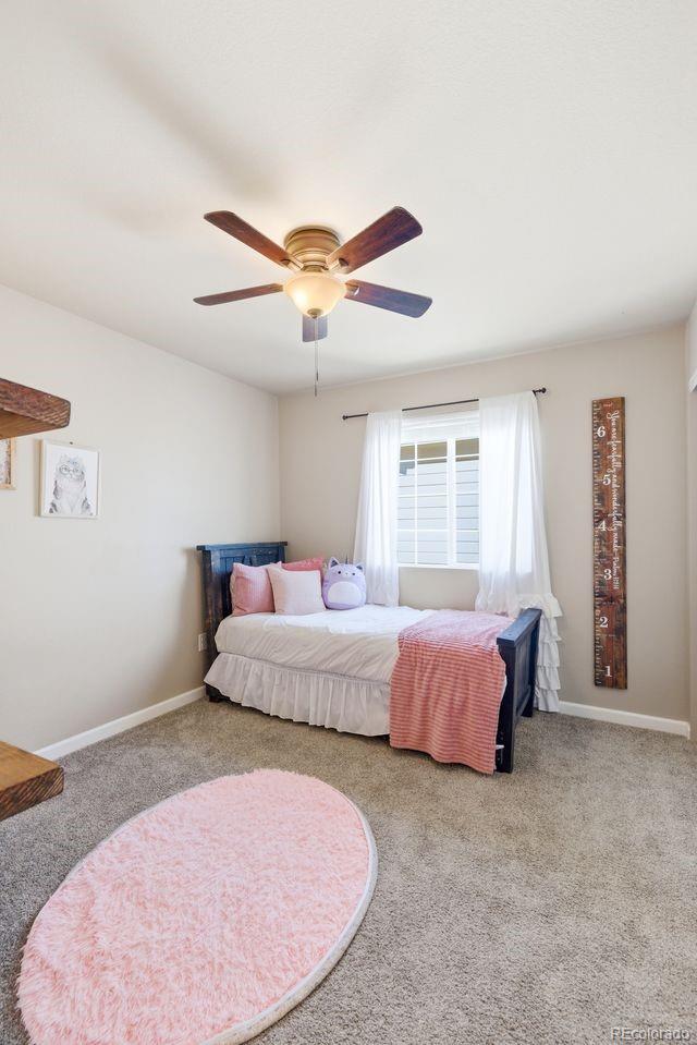 MLS Image #32 for 1999  villageview lane,castle rock, Colorado