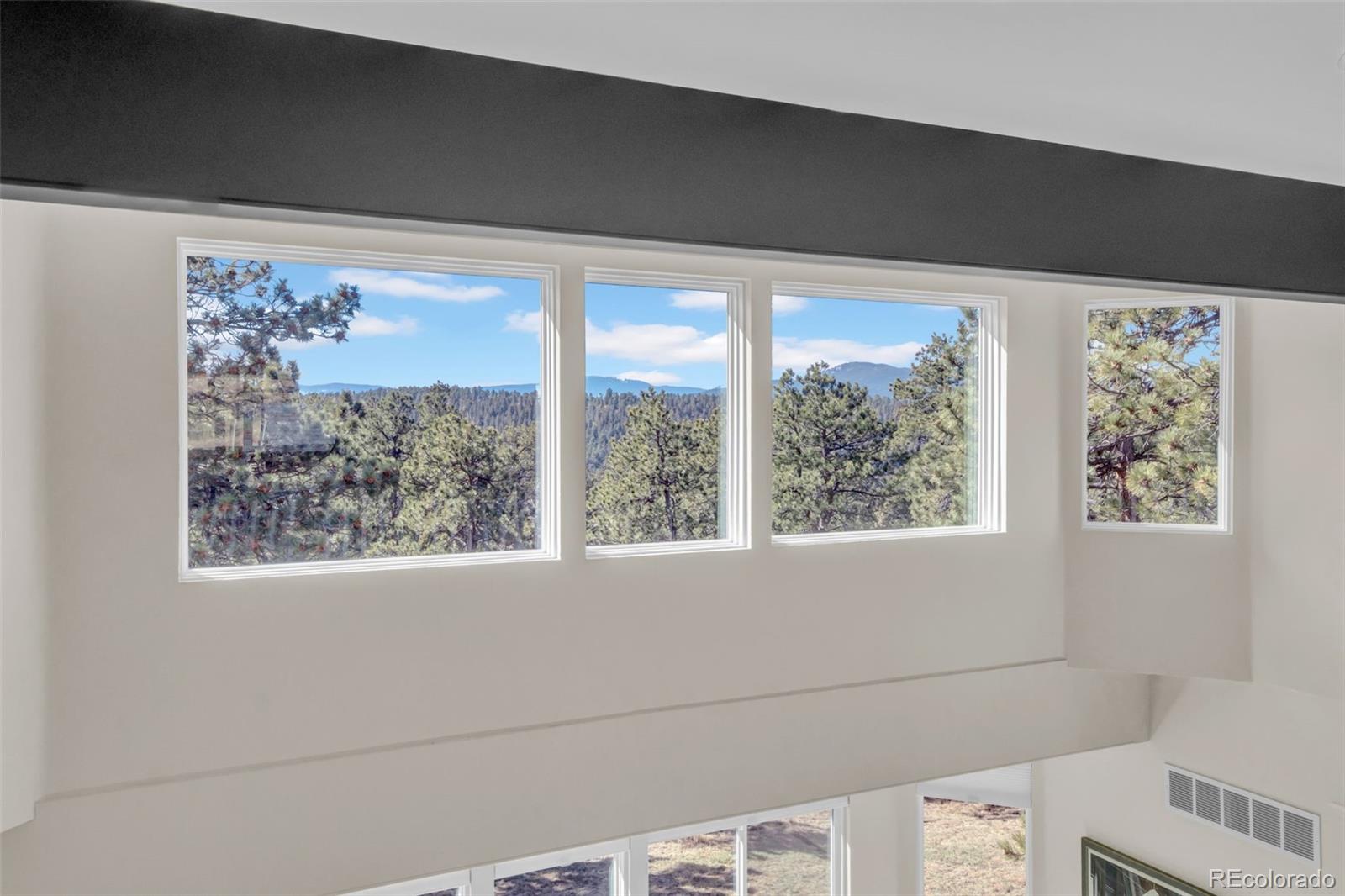 MLS Image #19 for 26400  columbine glen avenue,golden, Colorado