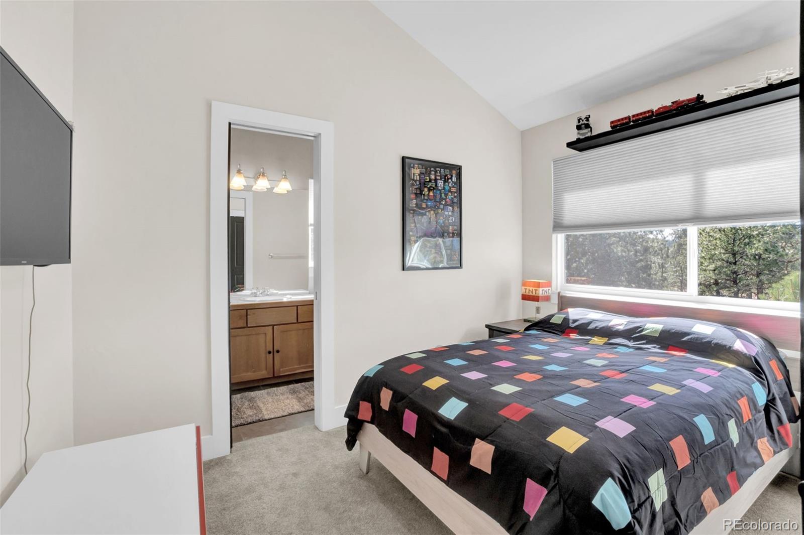 MLS Image #29 for 26400  columbine glen avenue,golden, Colorado