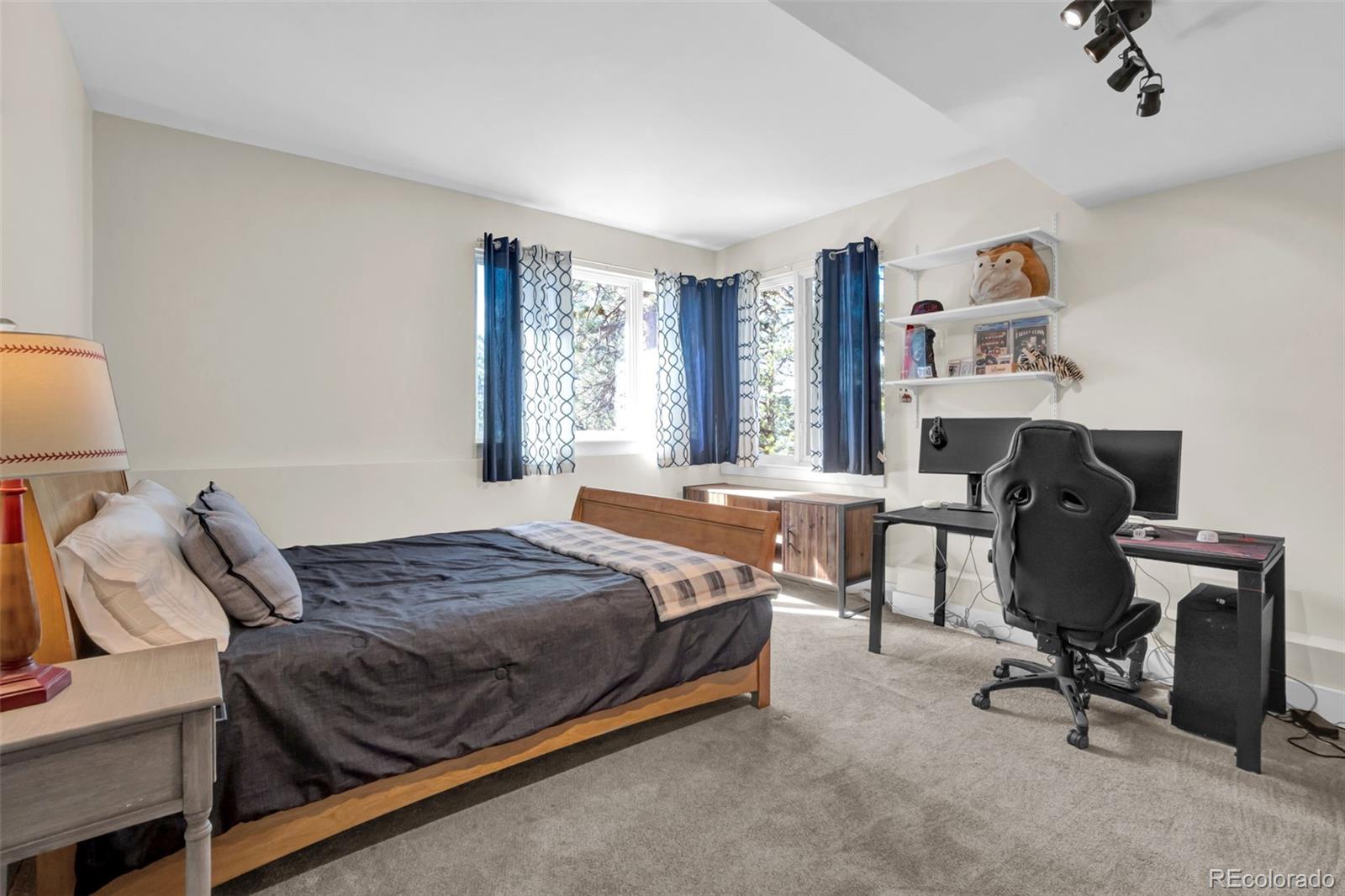 MLS Image #32 for 26400  columbine glen avenue,golden, Colorado