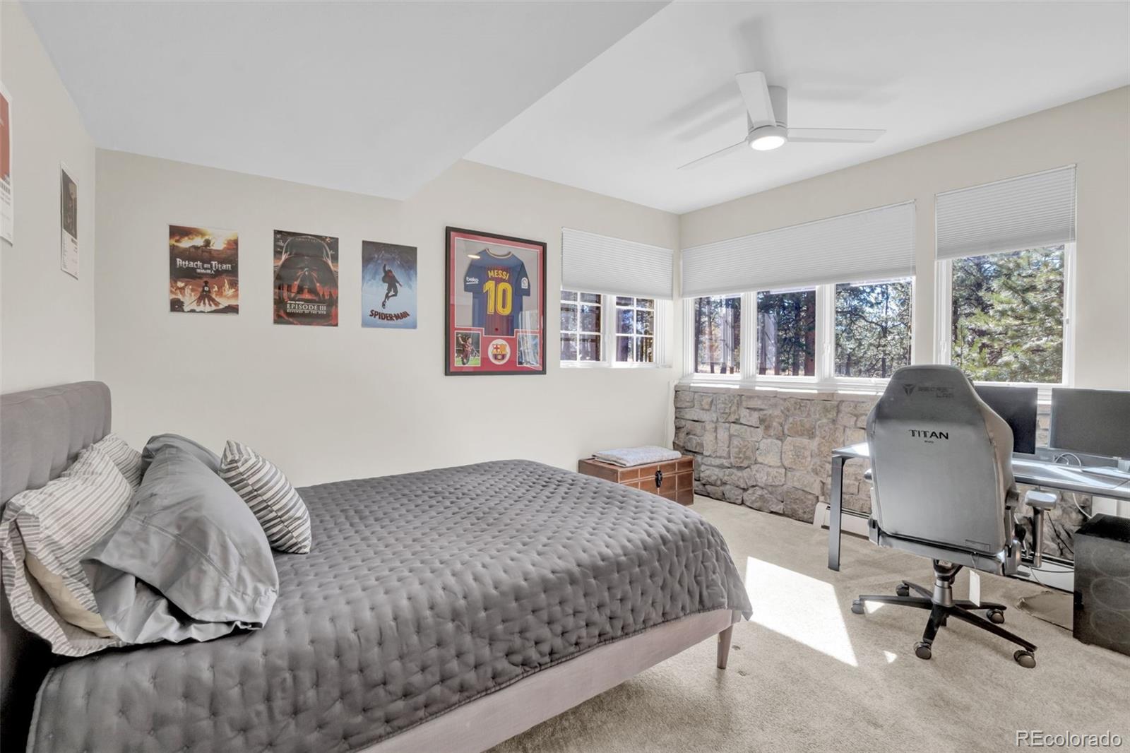 MLS Image #34 for 26400  columbine glen avenue,golden, Colorado
