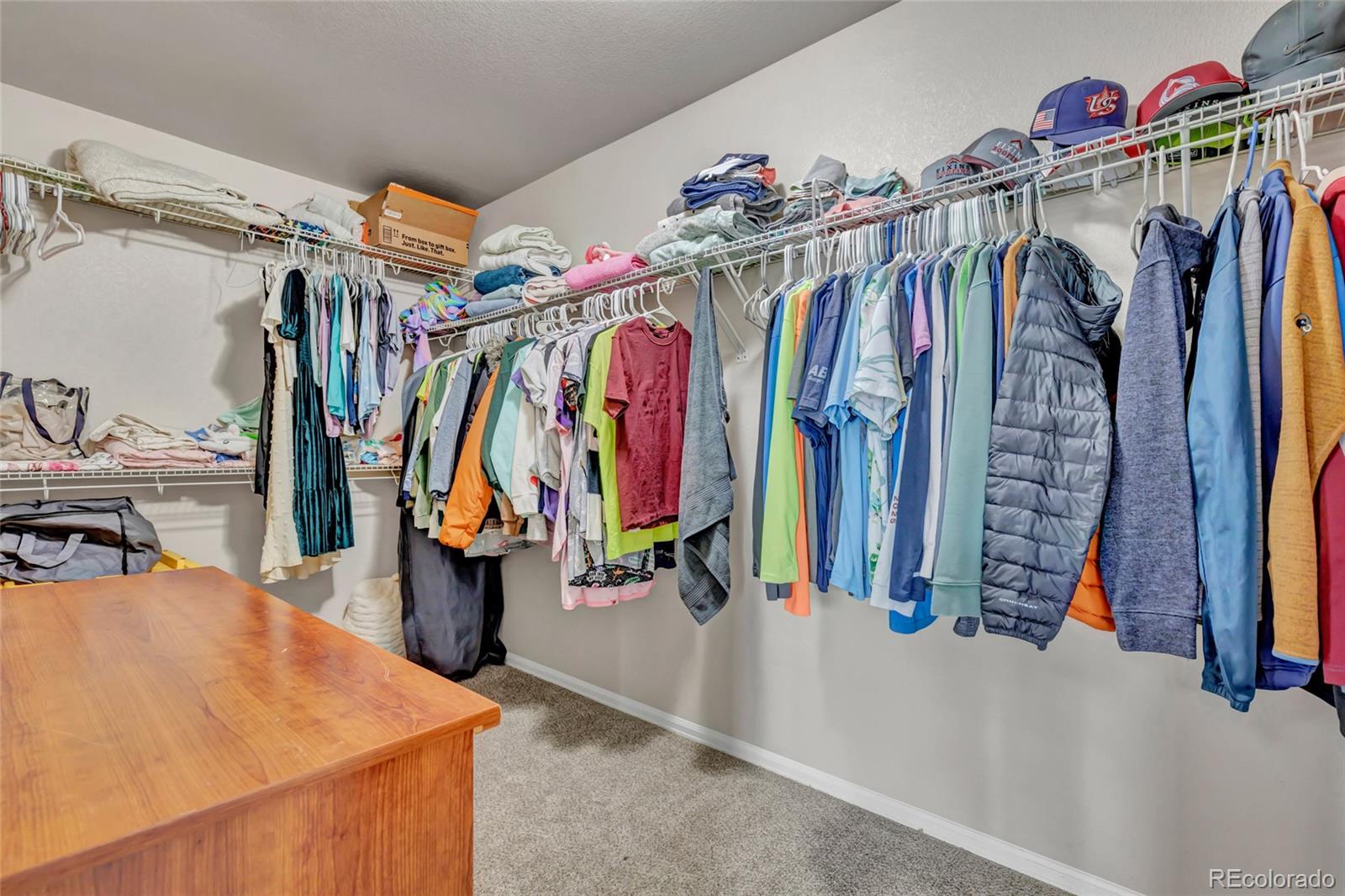 MLS Image #18 for 3091  shikra view ,colorado springs, Colorado