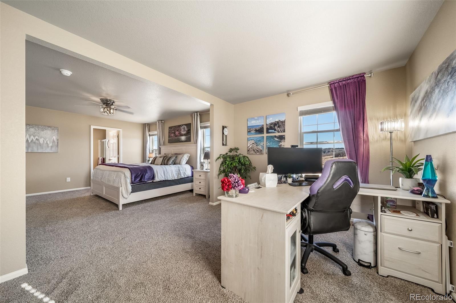 MLS Image #19 for 2042  shadow creek drive,castle rock, Colorado