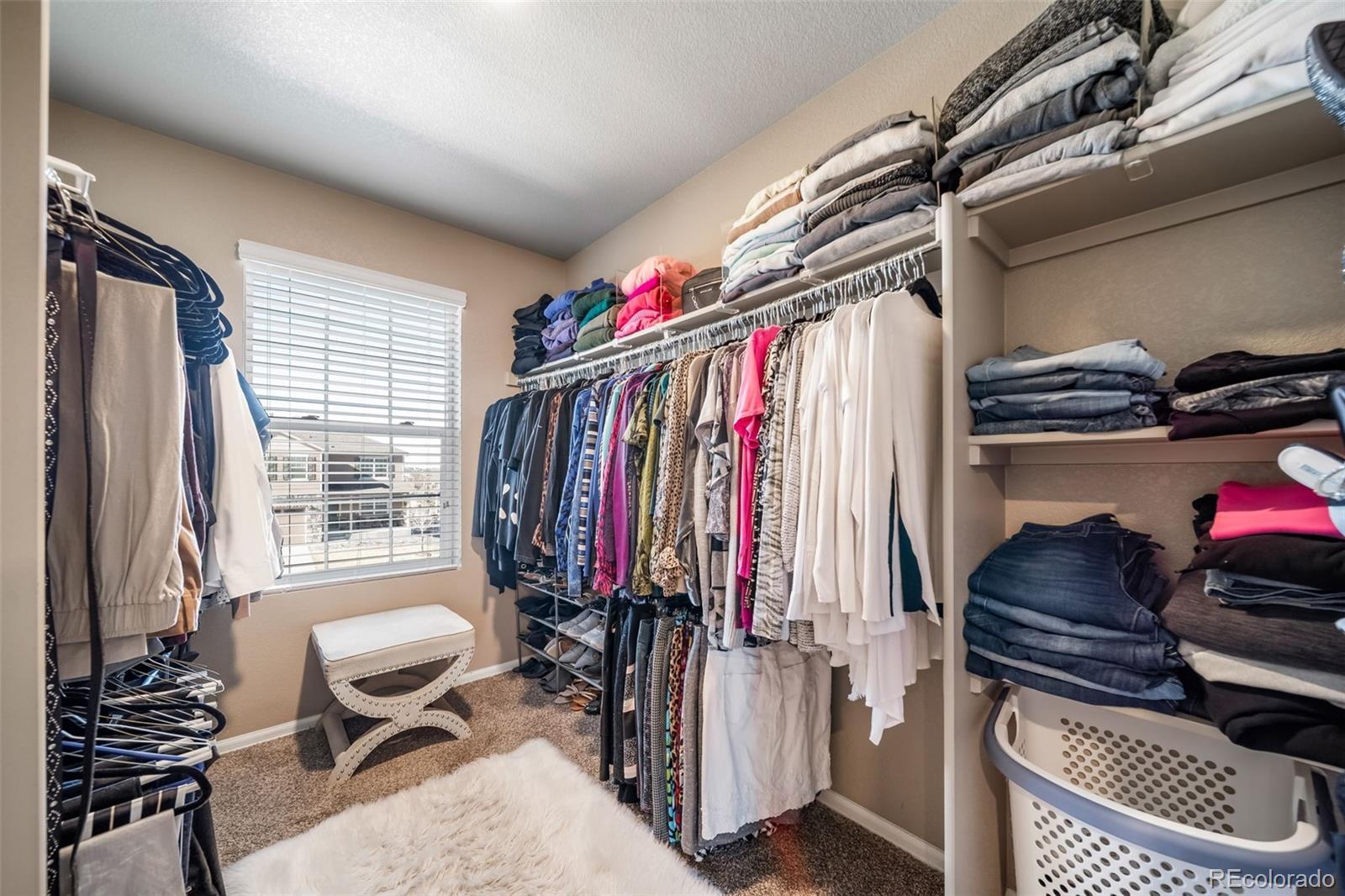MLS Image #22 for 2042  shadow creek drive,castle rock, Colorado