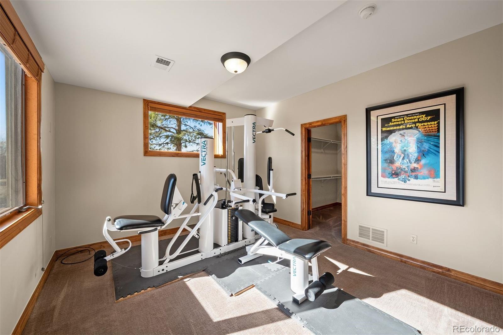 MLS Image #35 for 3225  elk canyon circle,sedalia, Colorado