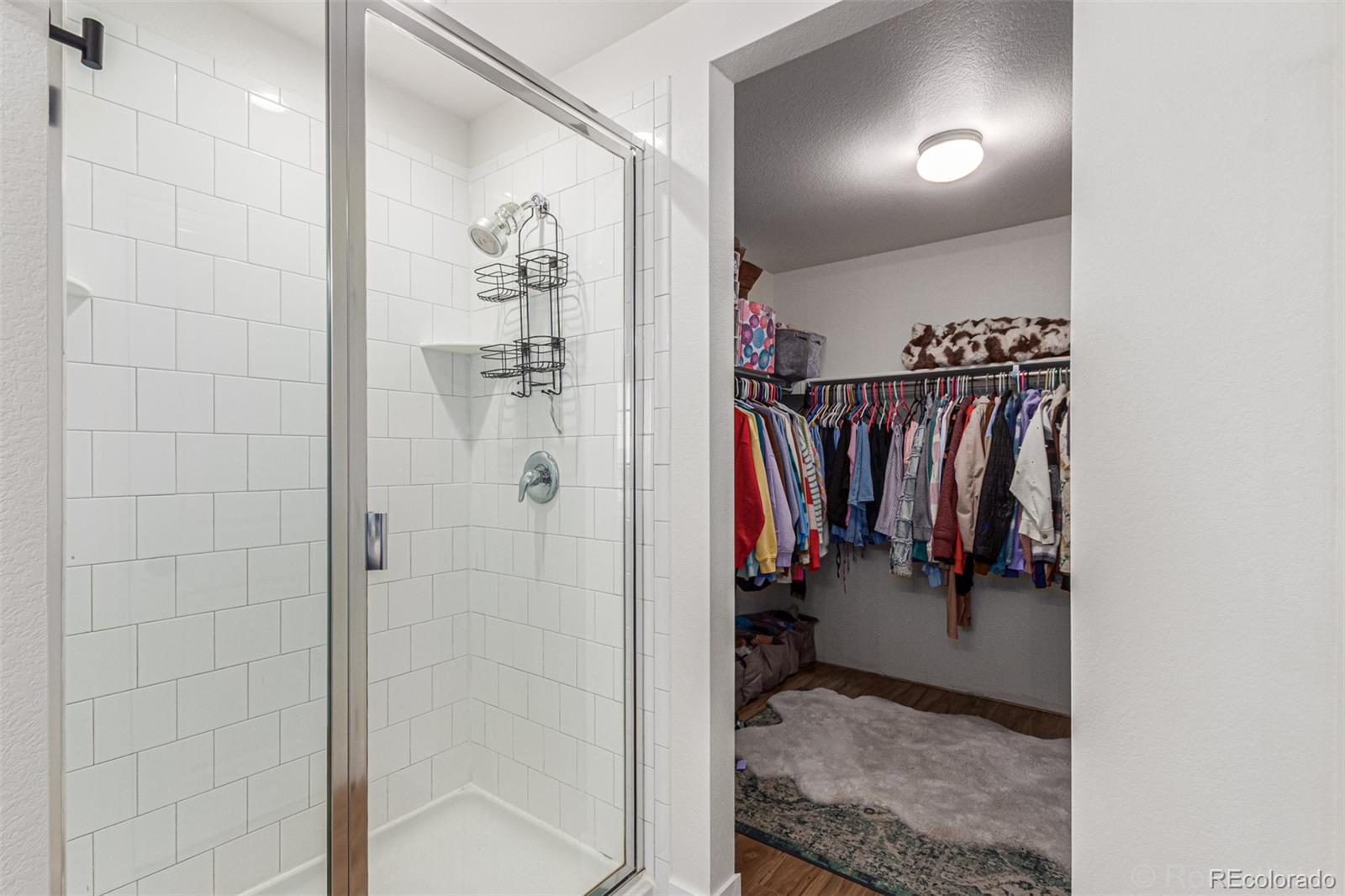 MLS Image #14 for 2901  quartz place,erie, Colorado