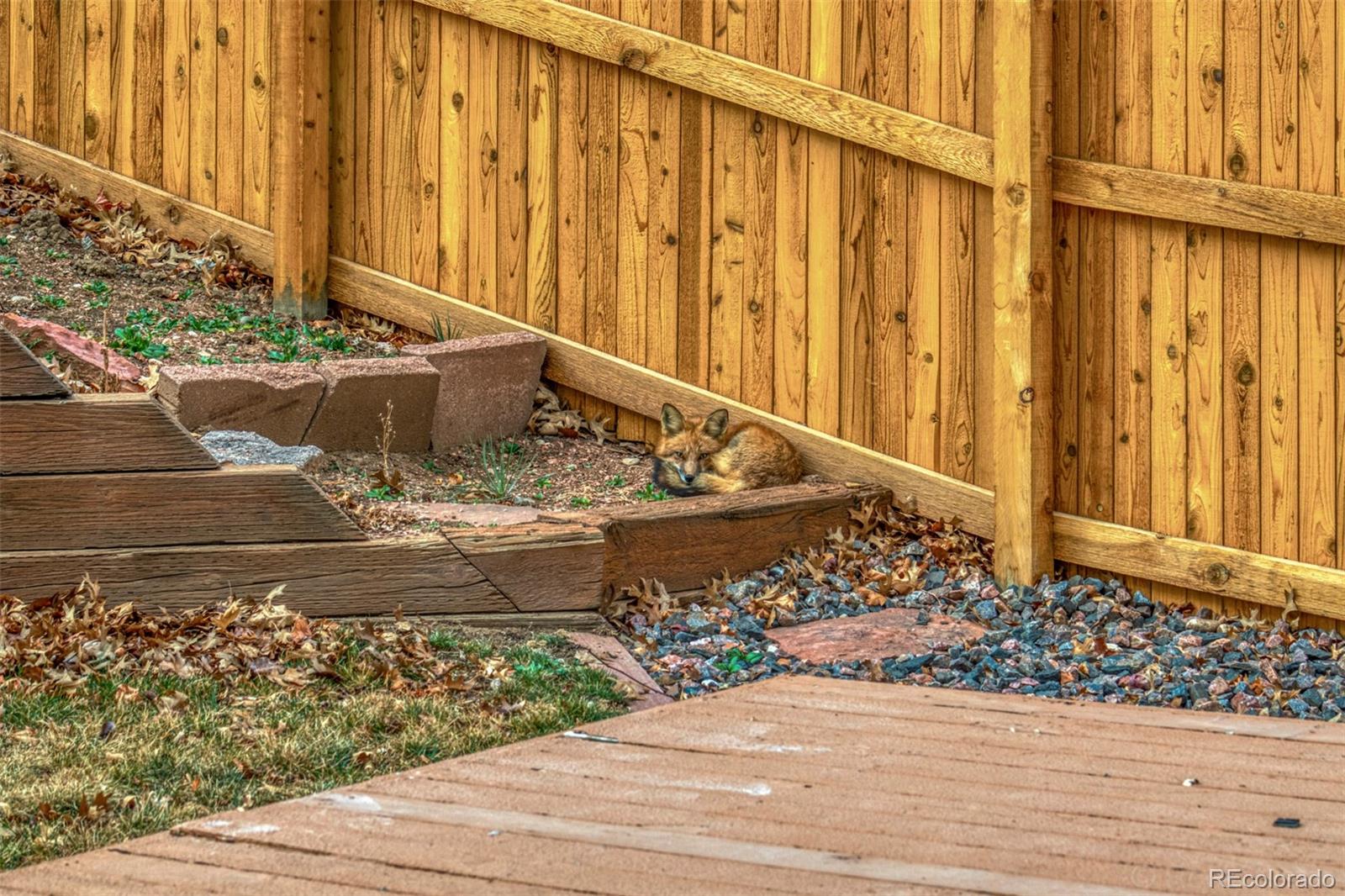 MLS Image #42 for 11351  fenton street,westminster, Colorado