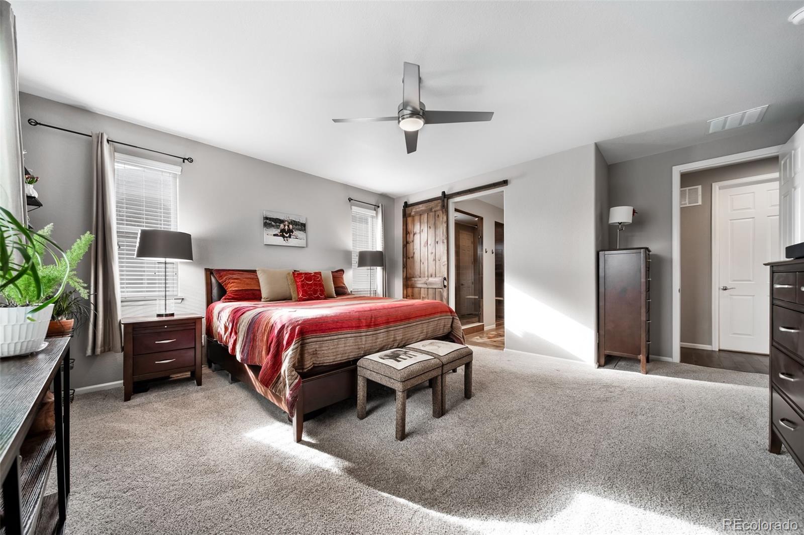 MLS Image #9 for 6388  agave avenue,castle rock, Colorado