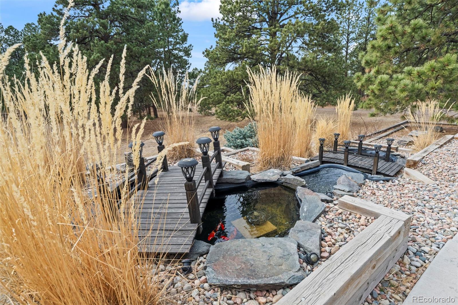 MLS Image #4 for 35348  quick fox court,elizabeth, Colorado