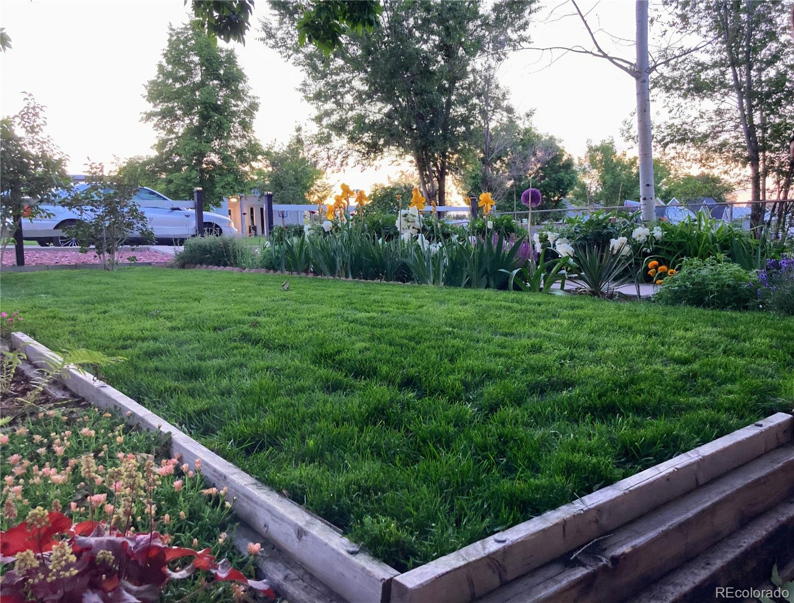 MLS Image #19 for 6750  irving street,denver, Colorado