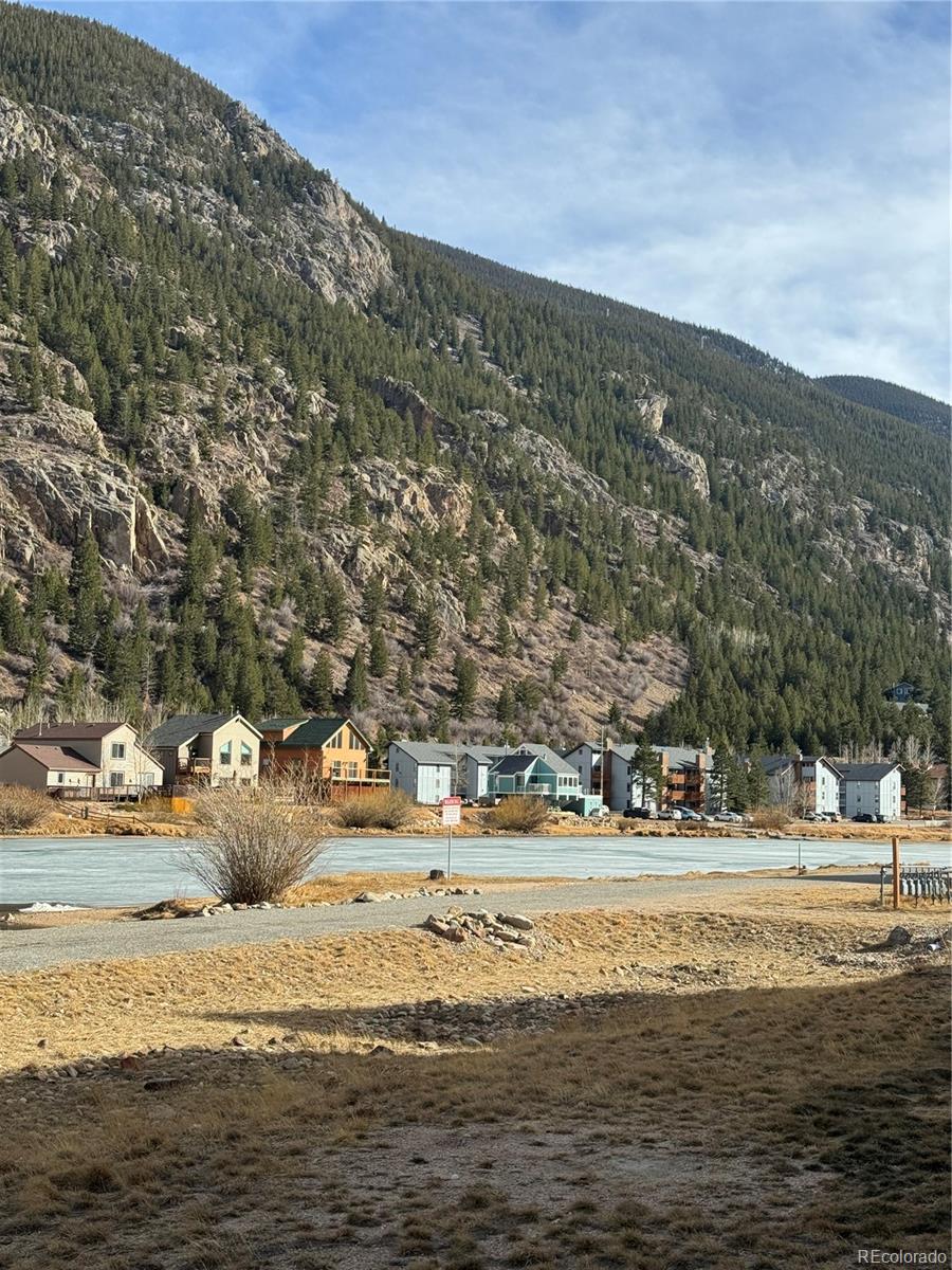 MLS Image #3 for 2142  big horn road,georgetown, Colorado