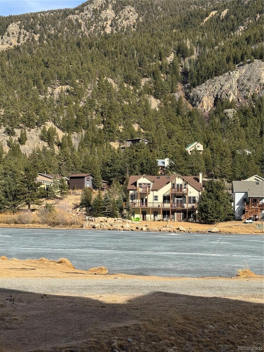 MLS Image #4 for 2142  big horn road,georgetown, Colorado