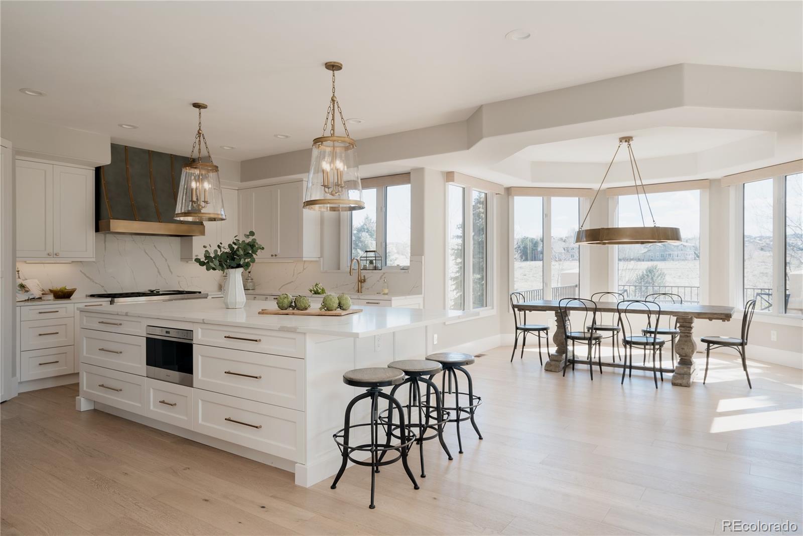 MLS Image #10 for 298  fairchild drive,highlands ranch, Colorado