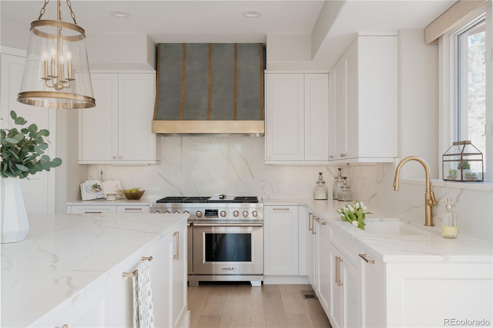 MLS Image #12 for 298  fairchild drive,highlands ranch, Colorado