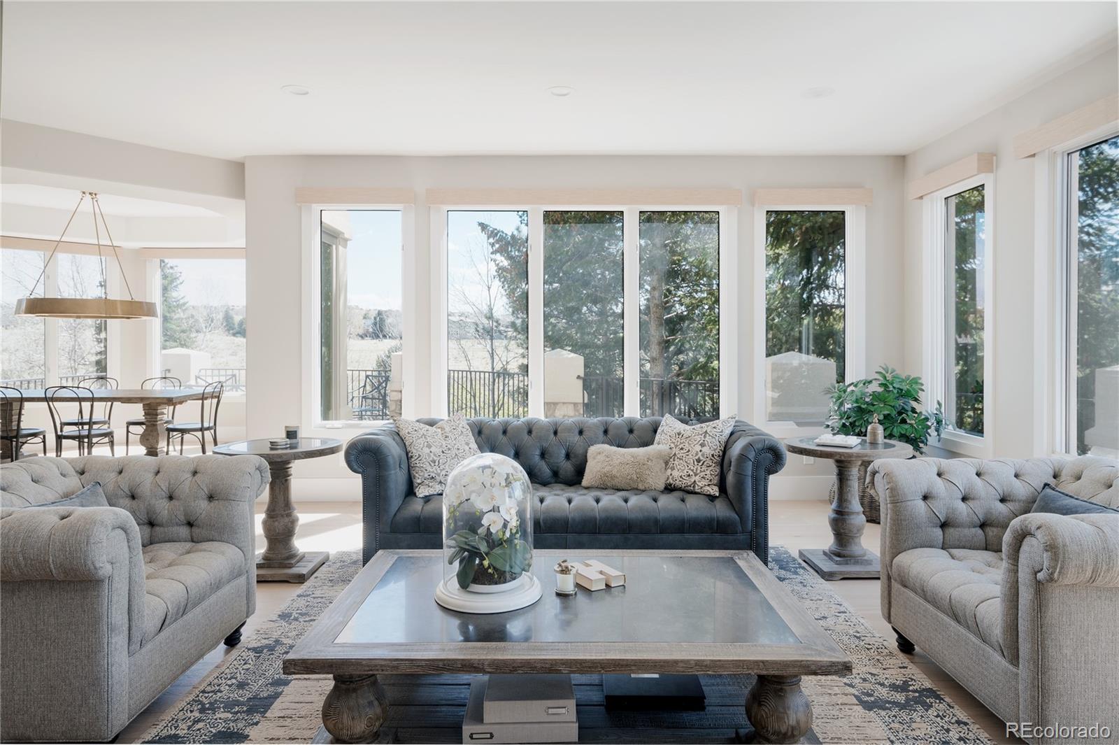 MLS Image #7 for 298  fairchild drive,highlands ranch, Colorado