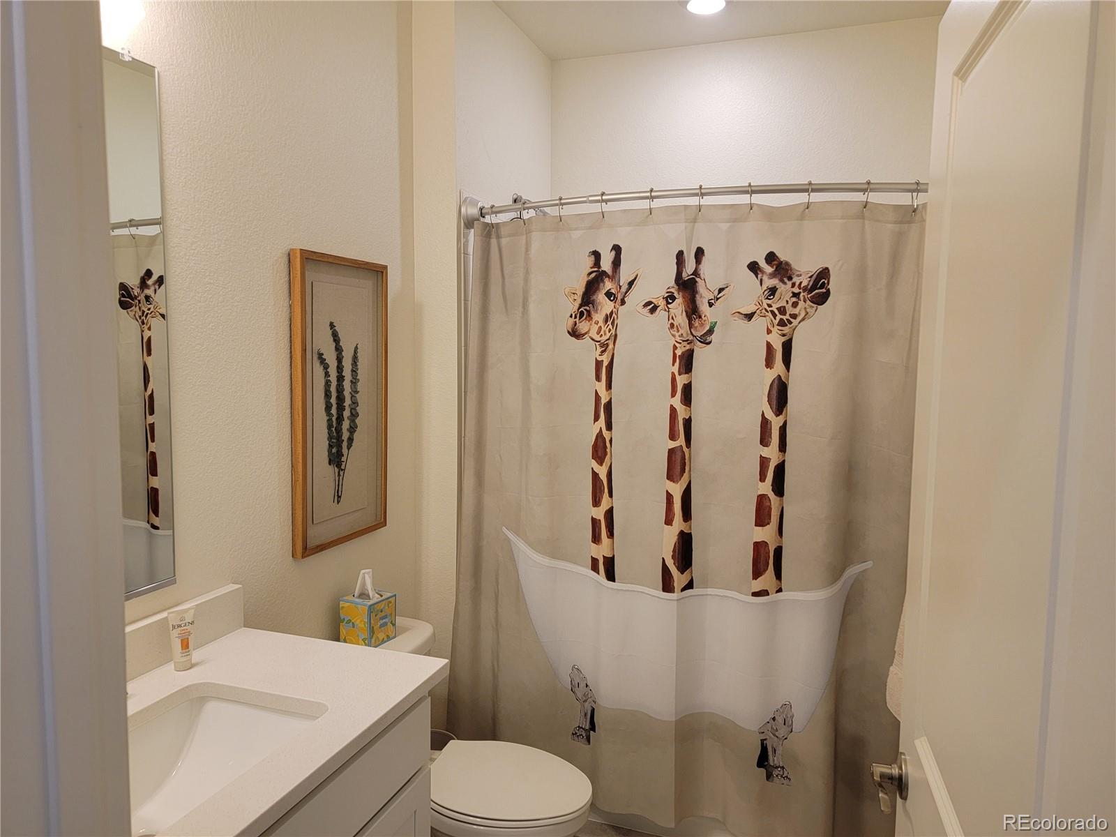 MLS Image #13 for 18141  prince hill cir. ,parker, Colorado