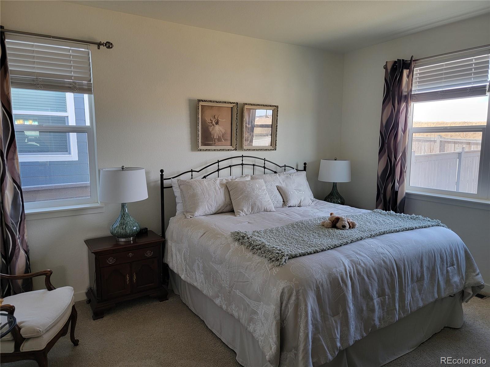 MLS Image #31 for 18141  prince hill cir. ,parker, Colorado