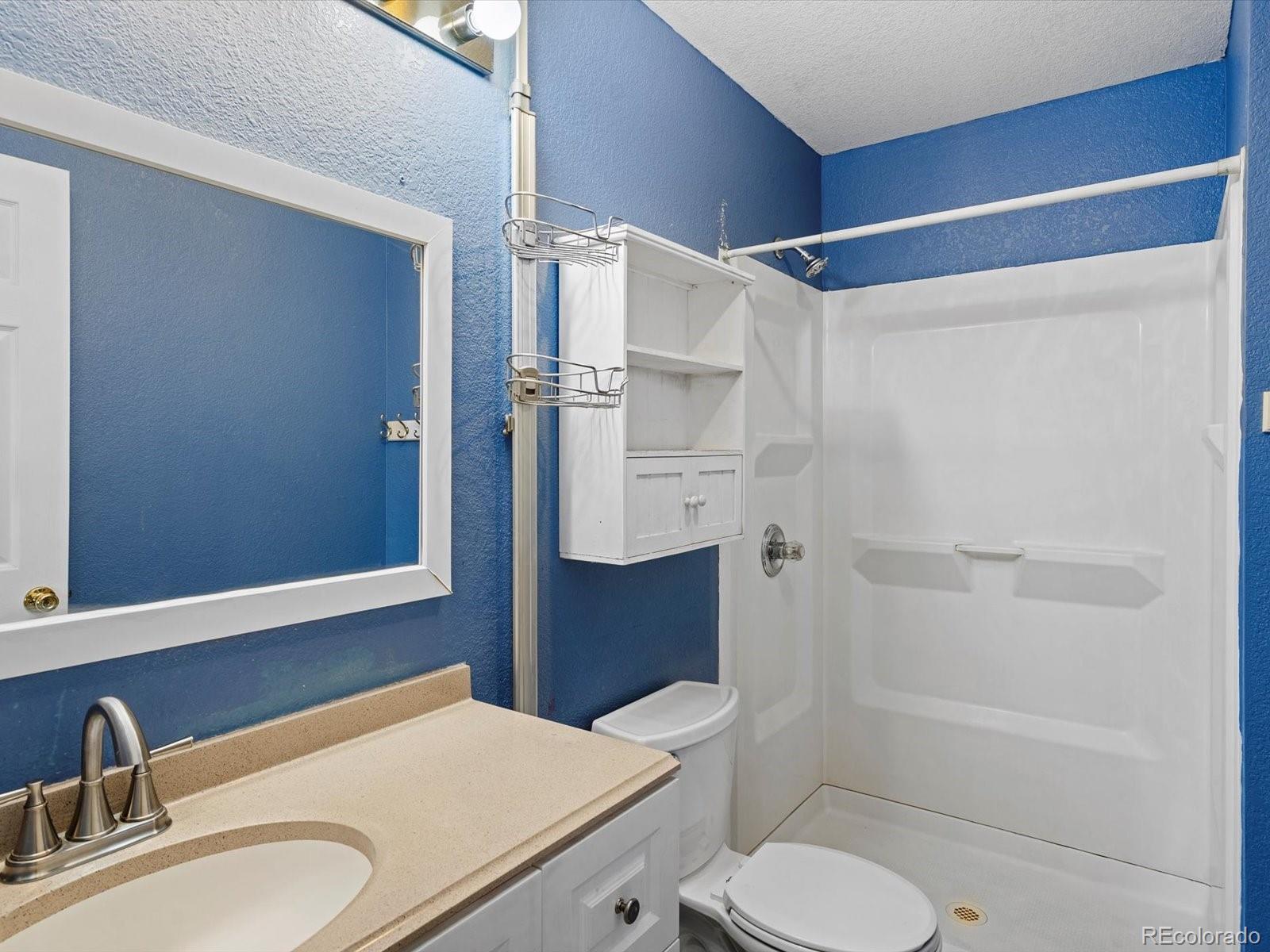 MLS Image #17 for 1247  raleigh street,denver, Colorado