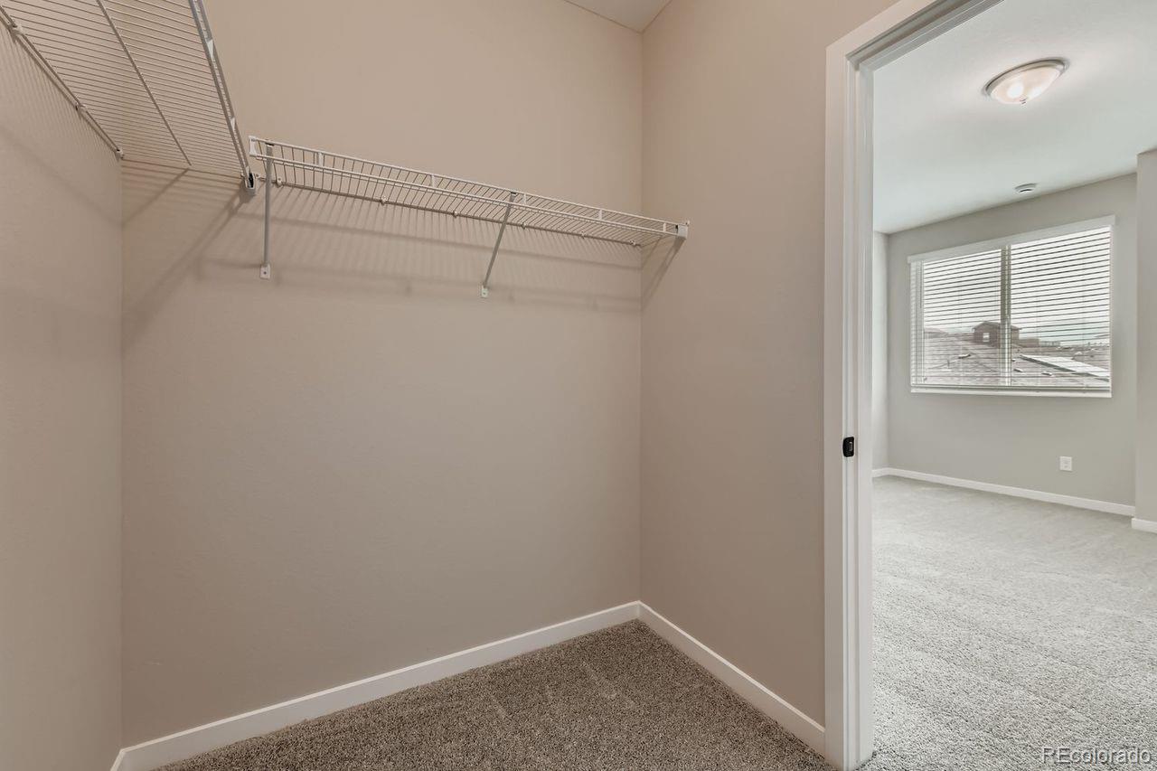 MLS Image #17 for 8327  mount kataka street ,littleton, Colorado