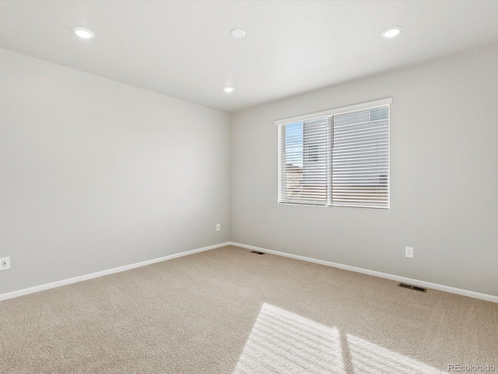 MLS Image #18 for 1683  yampa river drive,windsor, Colorado