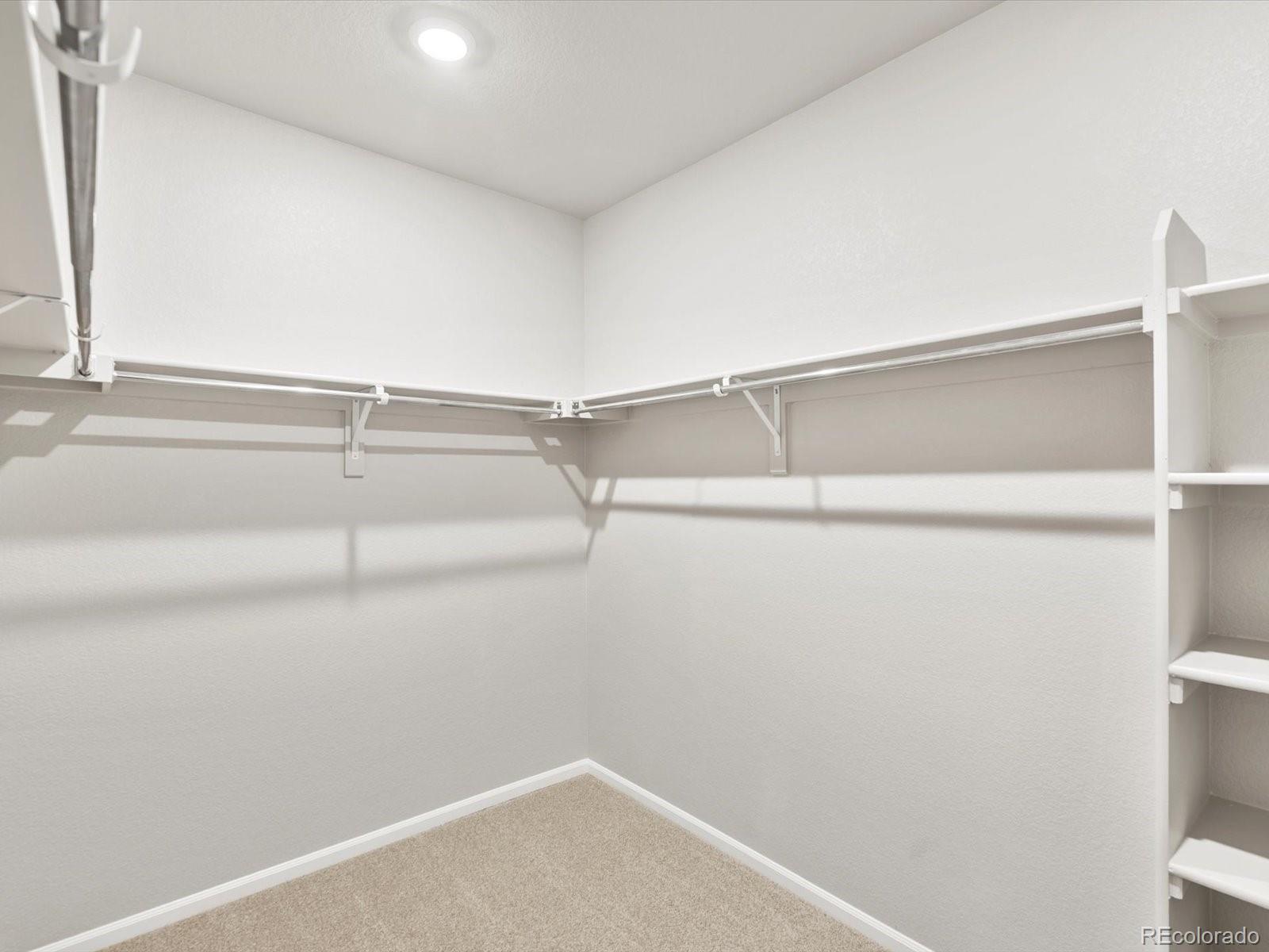 MLS Image #22 for 1683  yampa river drive,windsor, Colorado