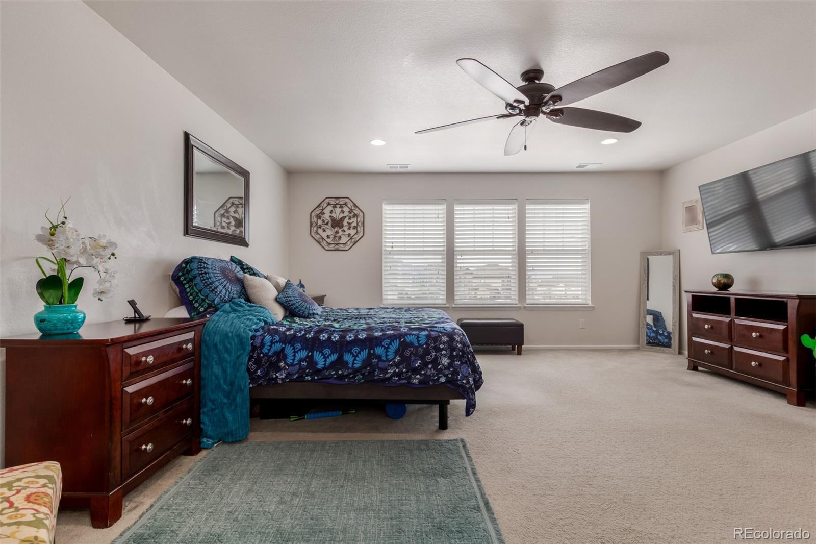 MLS Image #28 for 16995 e 111th drive,commerce city, Colorado