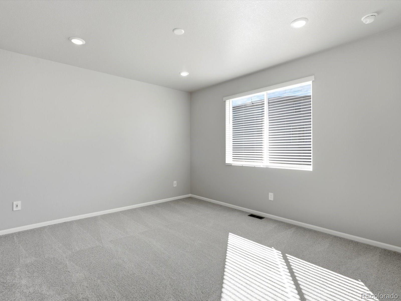 MLS Image #18 for 1612  rumley creek drive,windsor, Colorado
