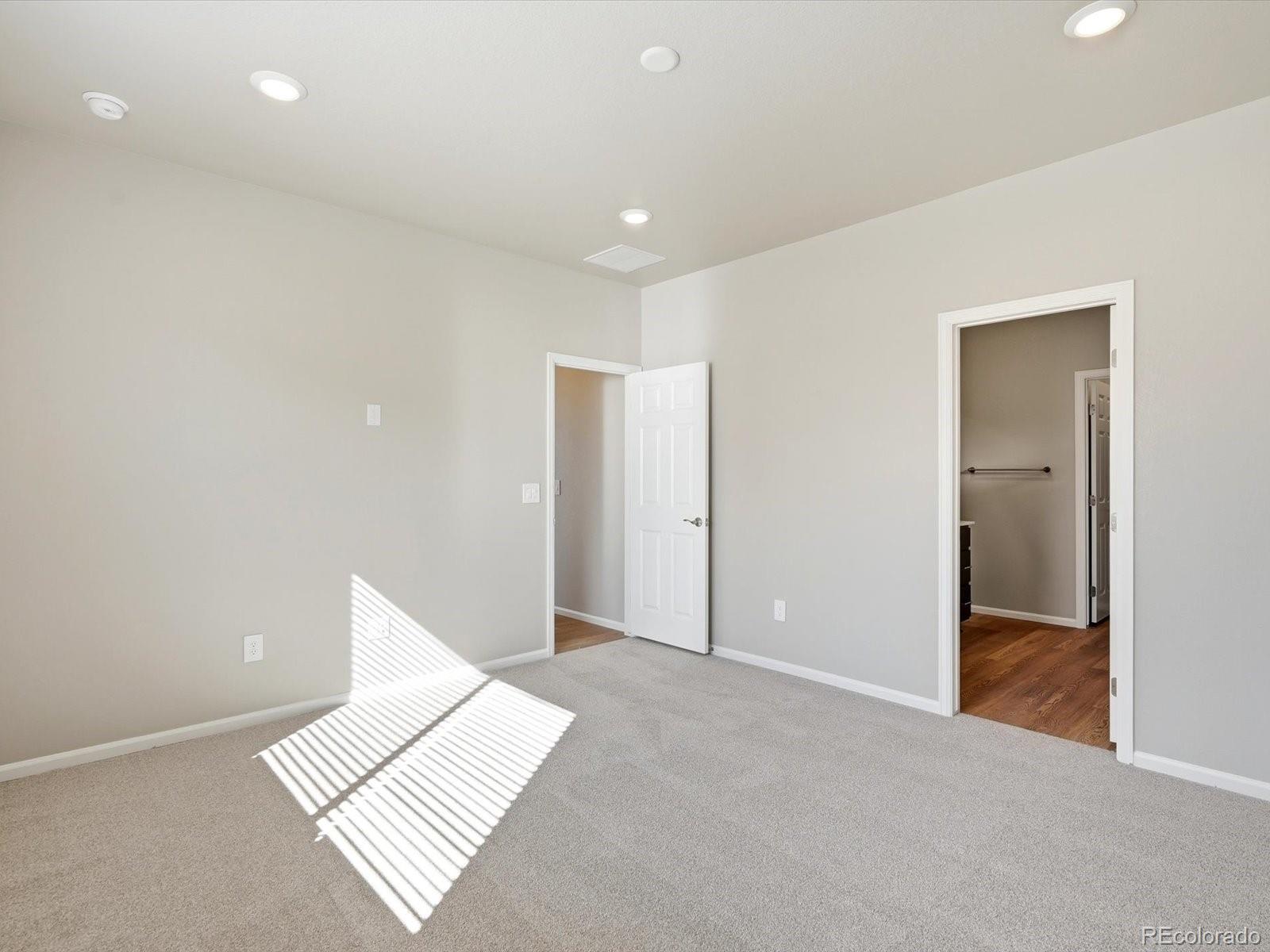 MLS Image #19 for 1612  rumley creek drive,windsor, Colorado