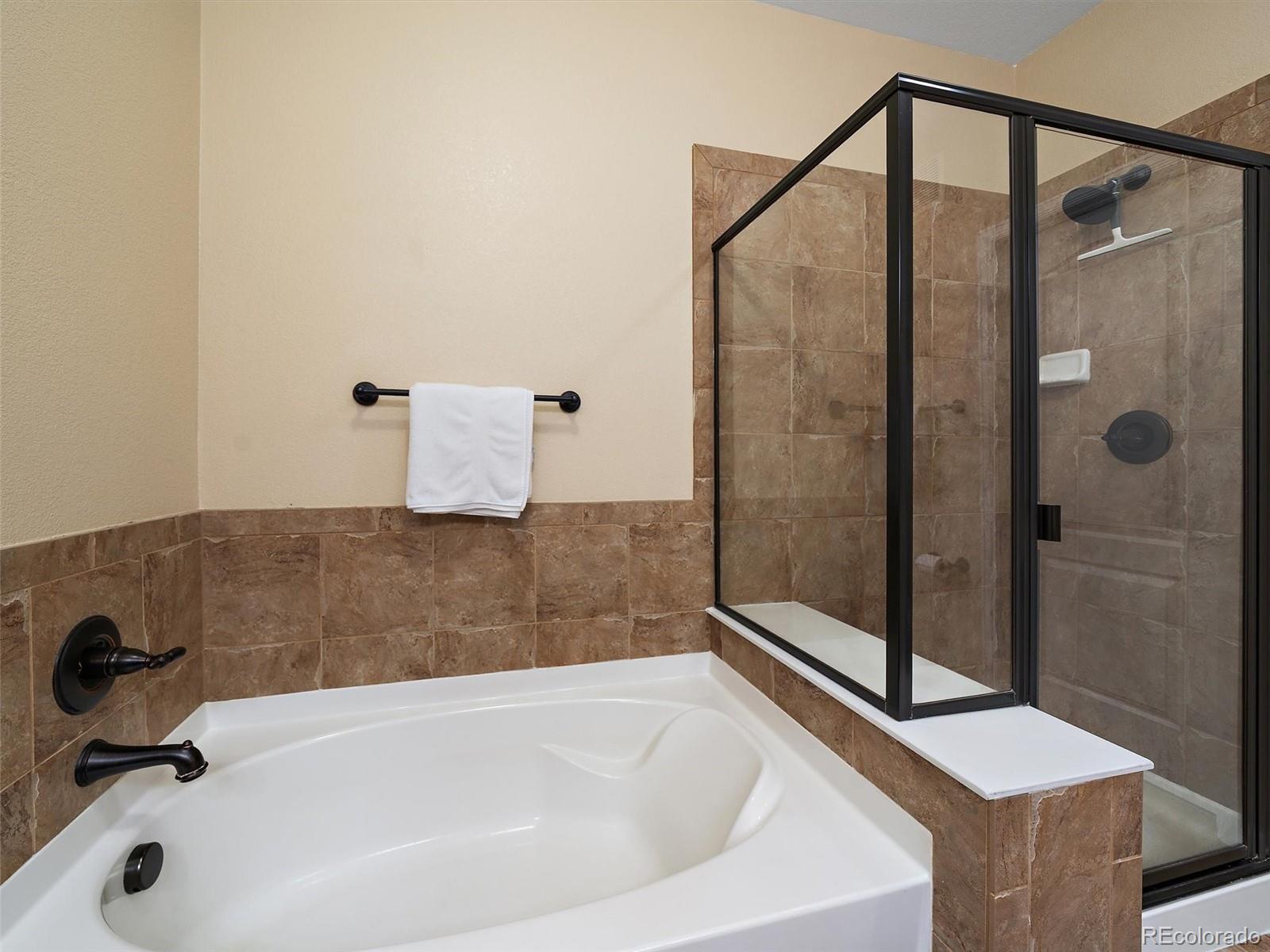 MLS Image #21 for 31112  black eagle drive,evergreen, Colorado
