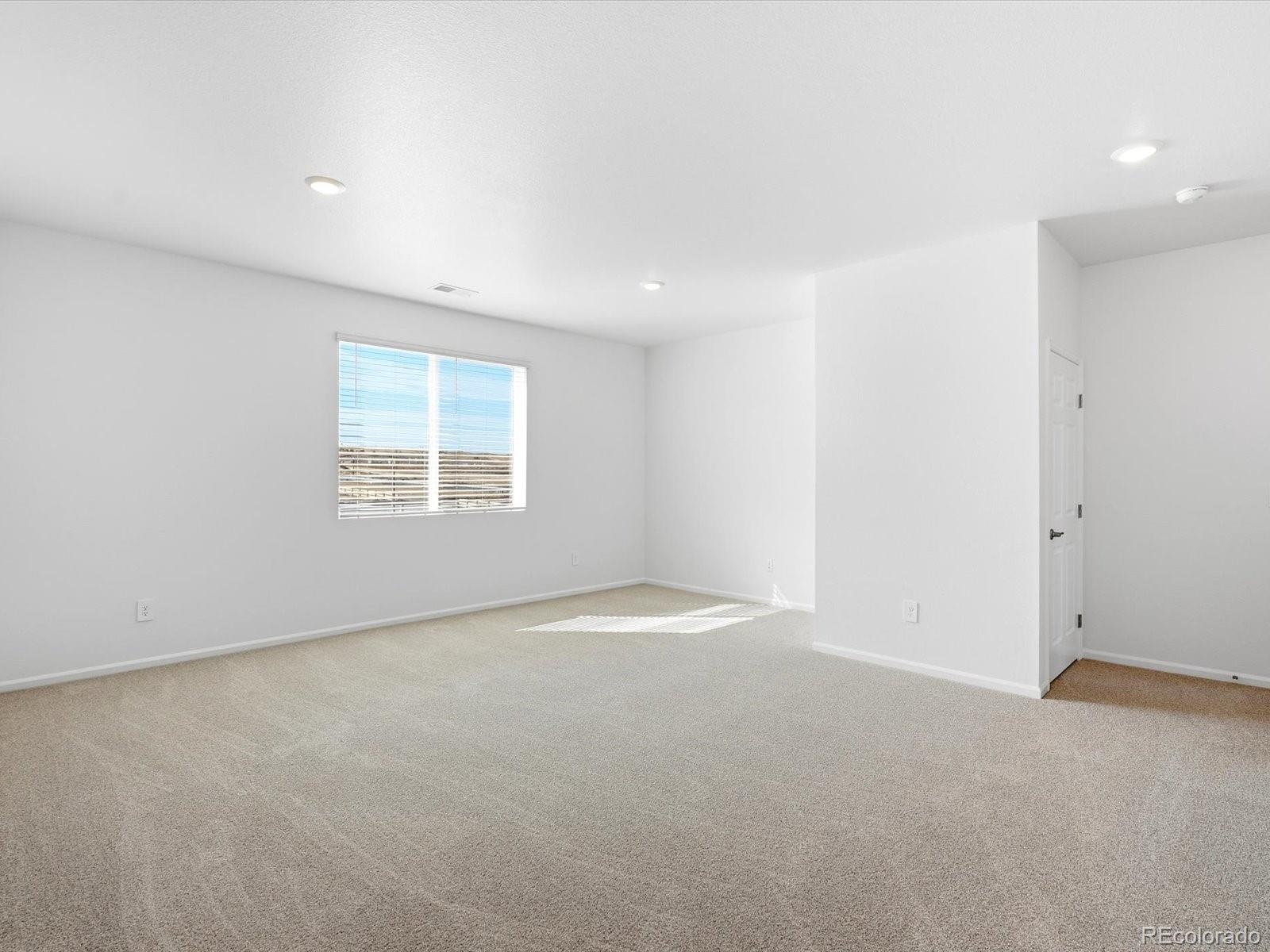 MLS Image #15 for 1608  rumley creek drive,windsor, Colorado