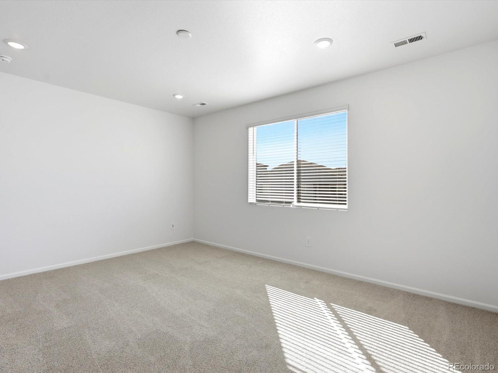 MLS Image #17 for 1608  rumley creek drive,windsor, Colorado