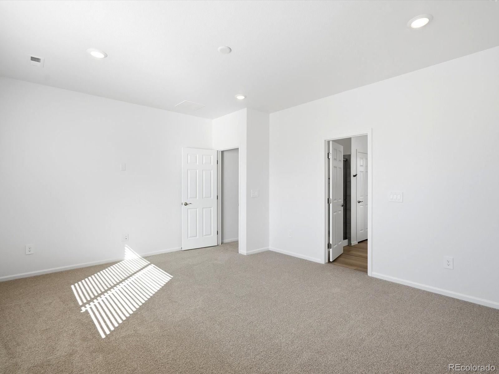 MLS Image #18 for 1608  rumley creek drive,windsor, Colorado