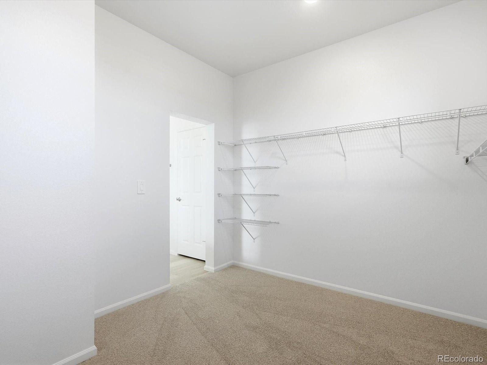 MLS Image #20 for 1608  rumley creek drive,windsor, Colorado