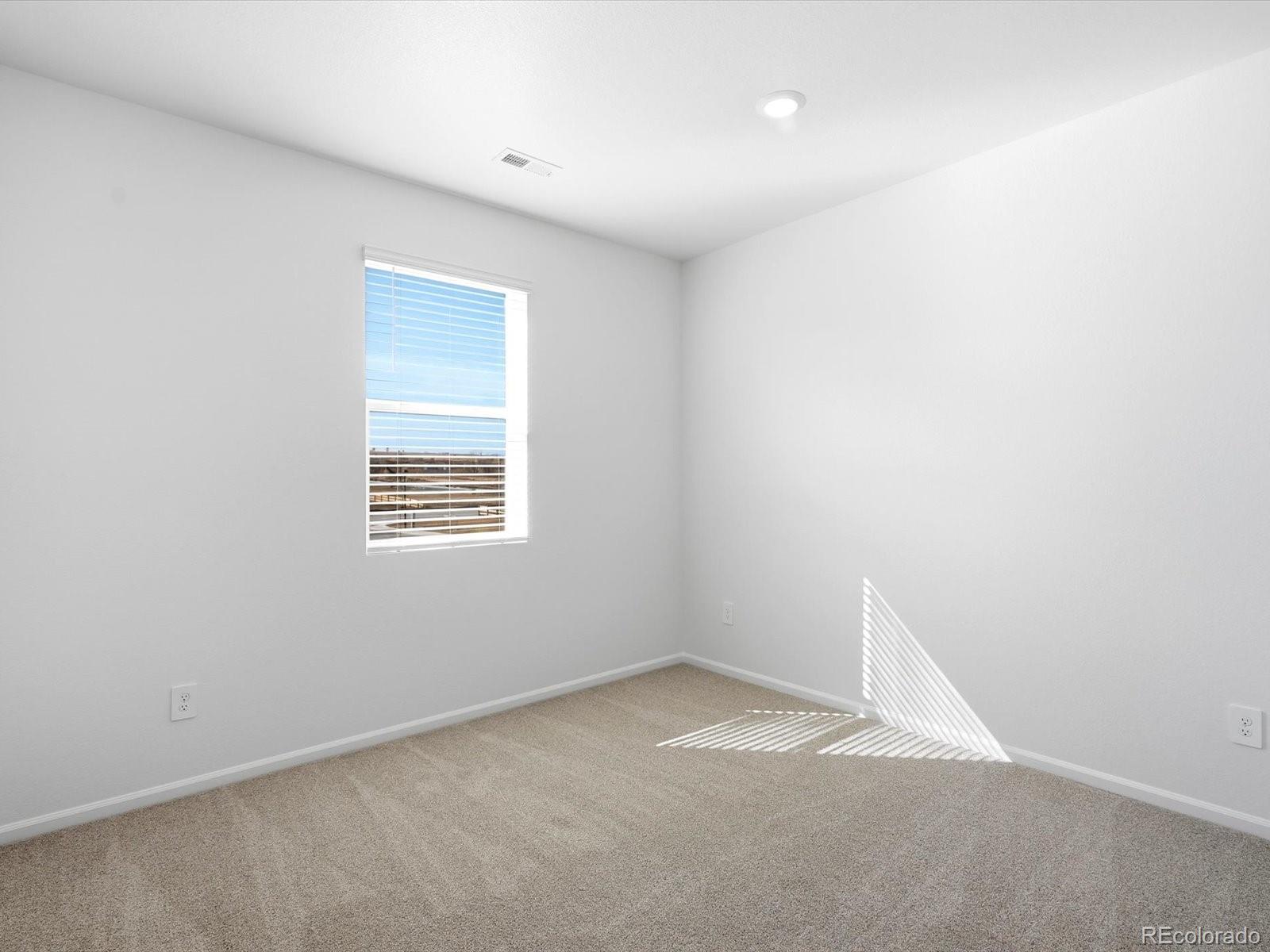 MLS Image #23 for 1608  rumley creek drive,windsor, Colorado