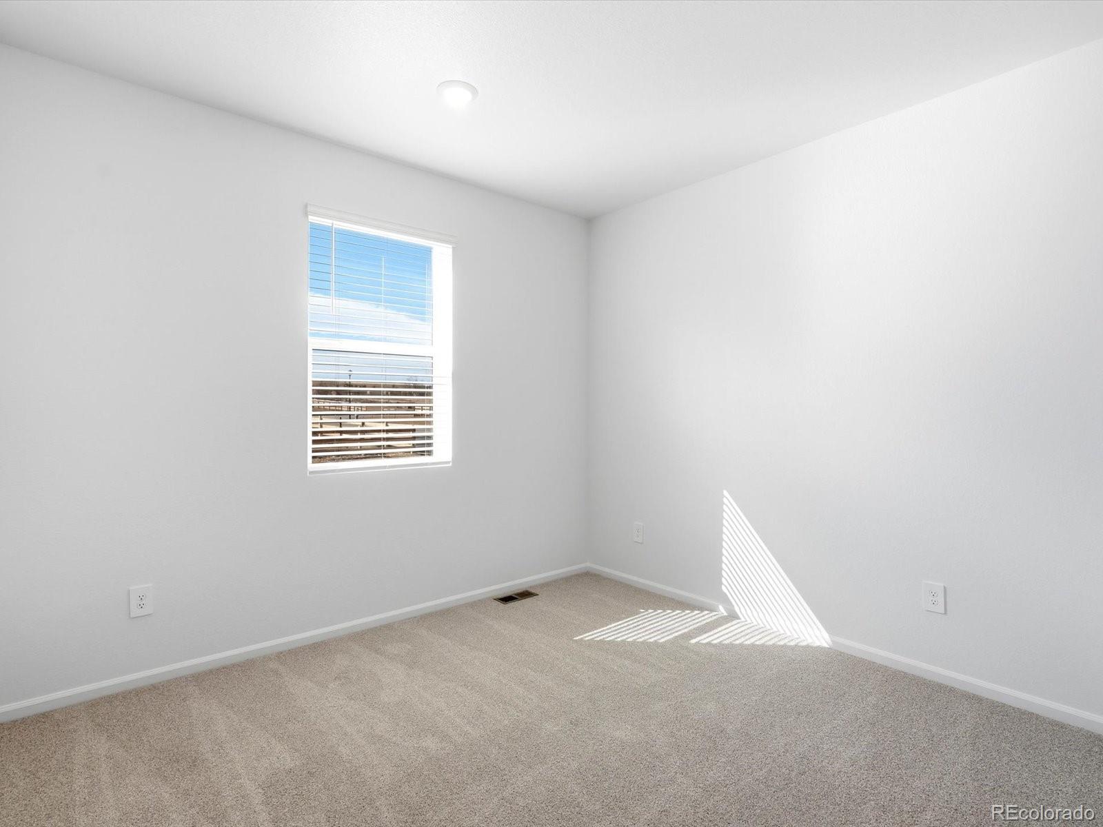 MLS Image #25 for 1608  rumley creek drive,windsor, Colorado