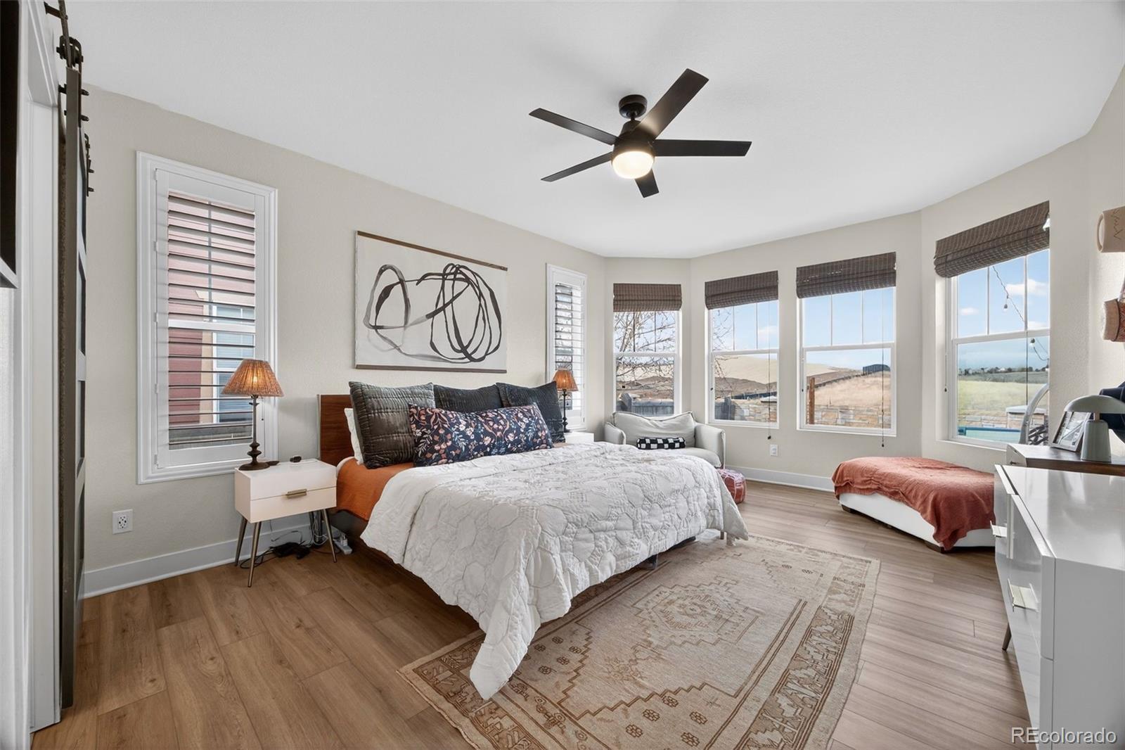 MLS Image #17 for 10107  tall oaks street,parker, Colorado