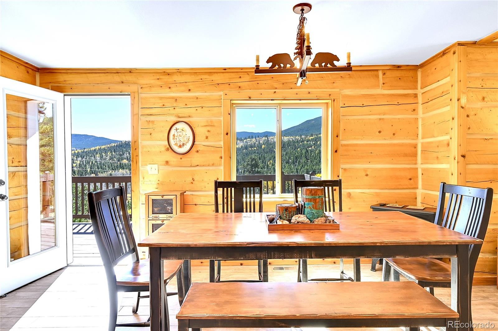 MLS Image #13 for 278  clark road,bailey, Colorado