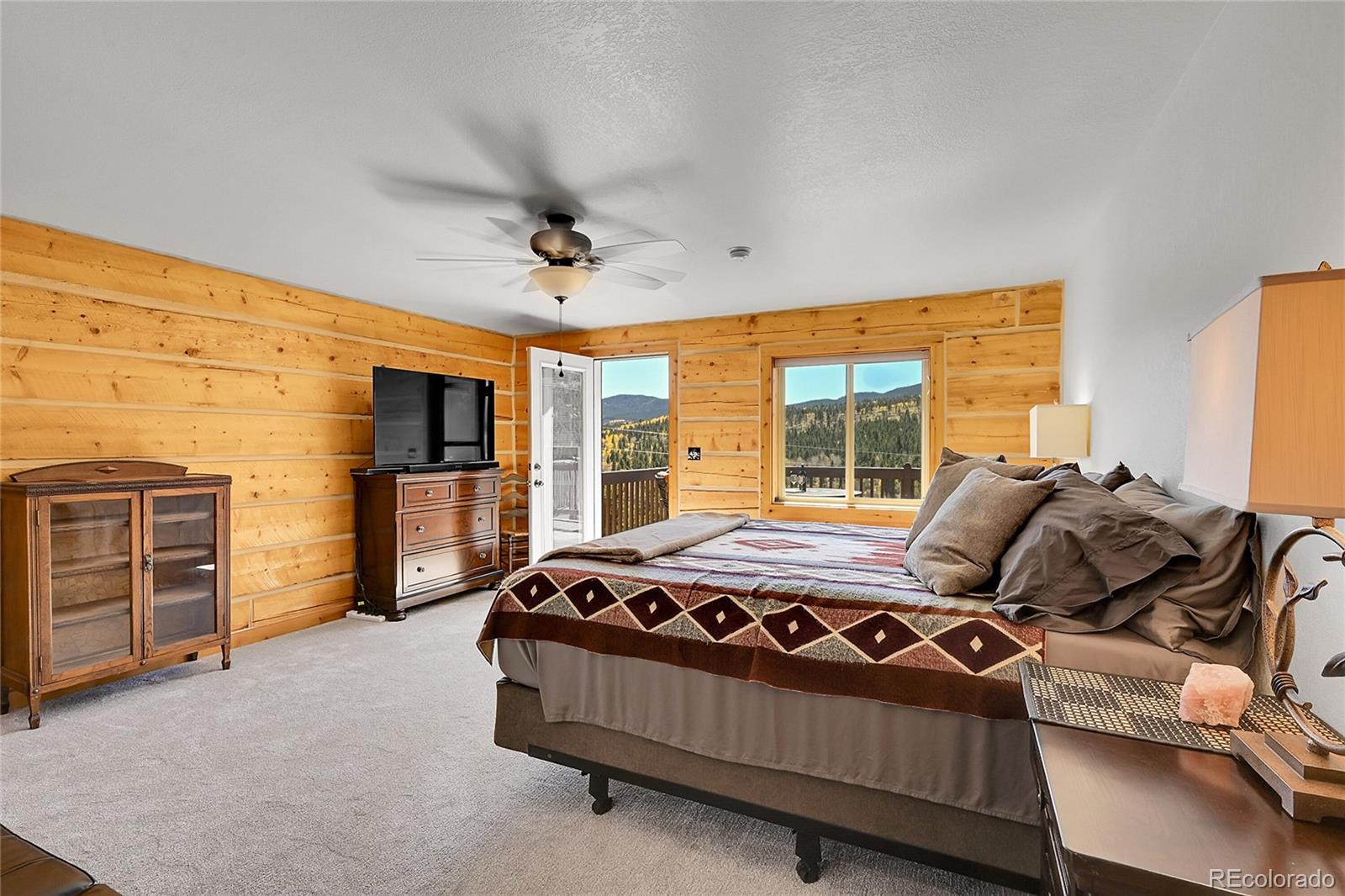 MLS Image #19 for 278  clark road,bailey, Colorado