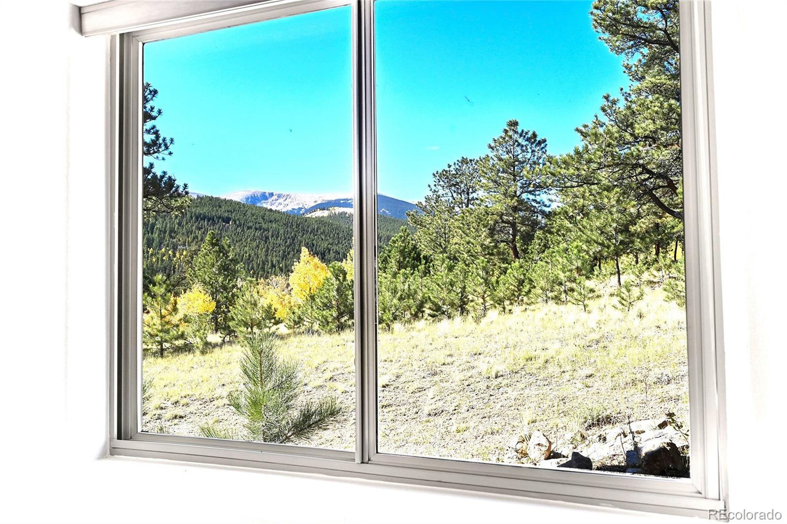 MLS Image #28 for 278  clark road,bailey, Colorado