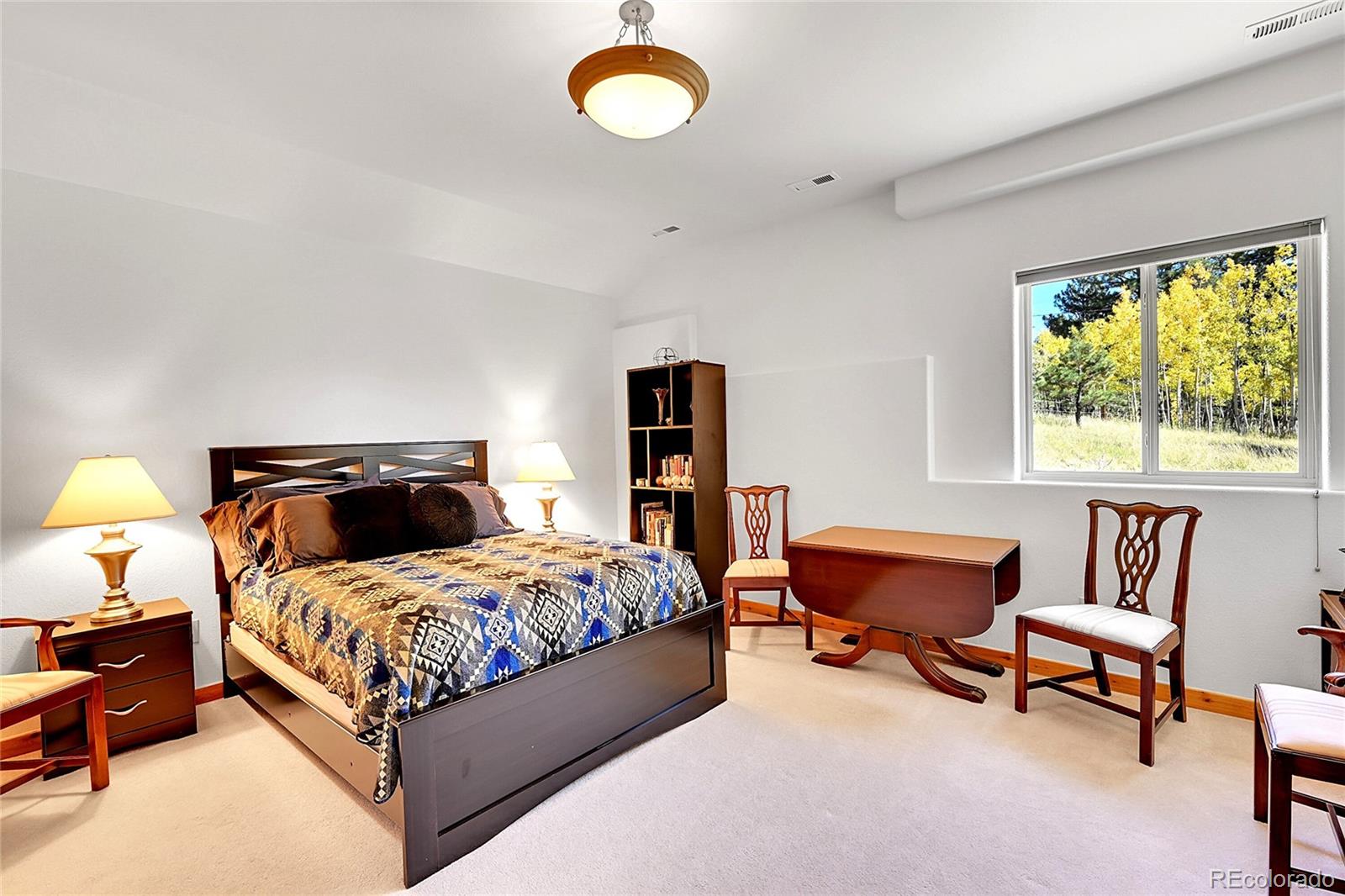 MLS Image #31 for 278  clark road,bailey, Colorado