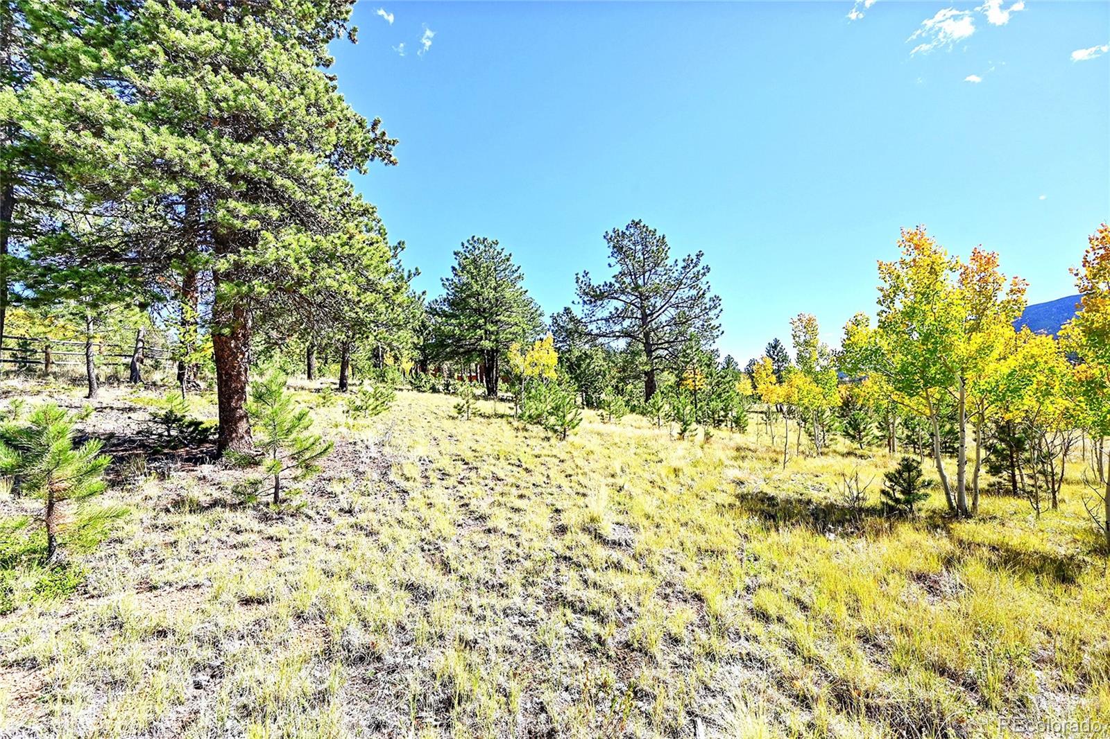 MLS Image #40 for 278  clark road,bailey, Colorado