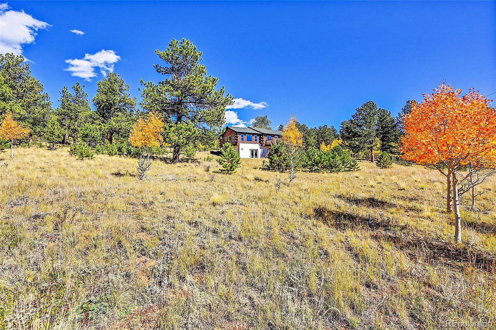 MLS Image #42 for 278  clark road,bailey, Colorado