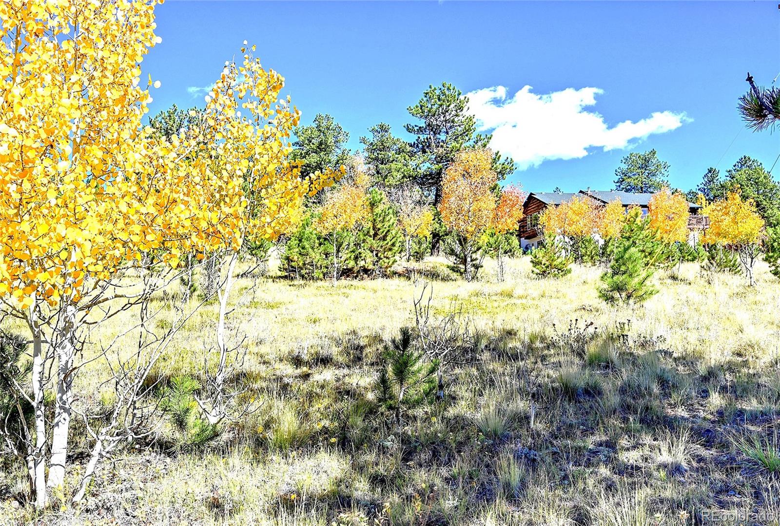 MLS Image #43 for 278  clark road,bailey, Colorado