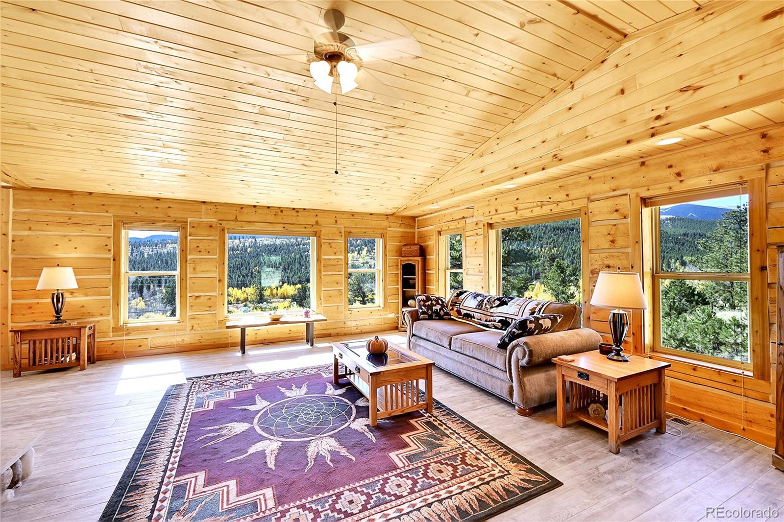 MLS Image #9 for 278  clark road,bailey, Colorado